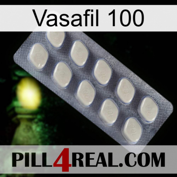 Vasafil 100 08.jpg